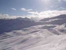 081124_A_siamo in 62.JPG